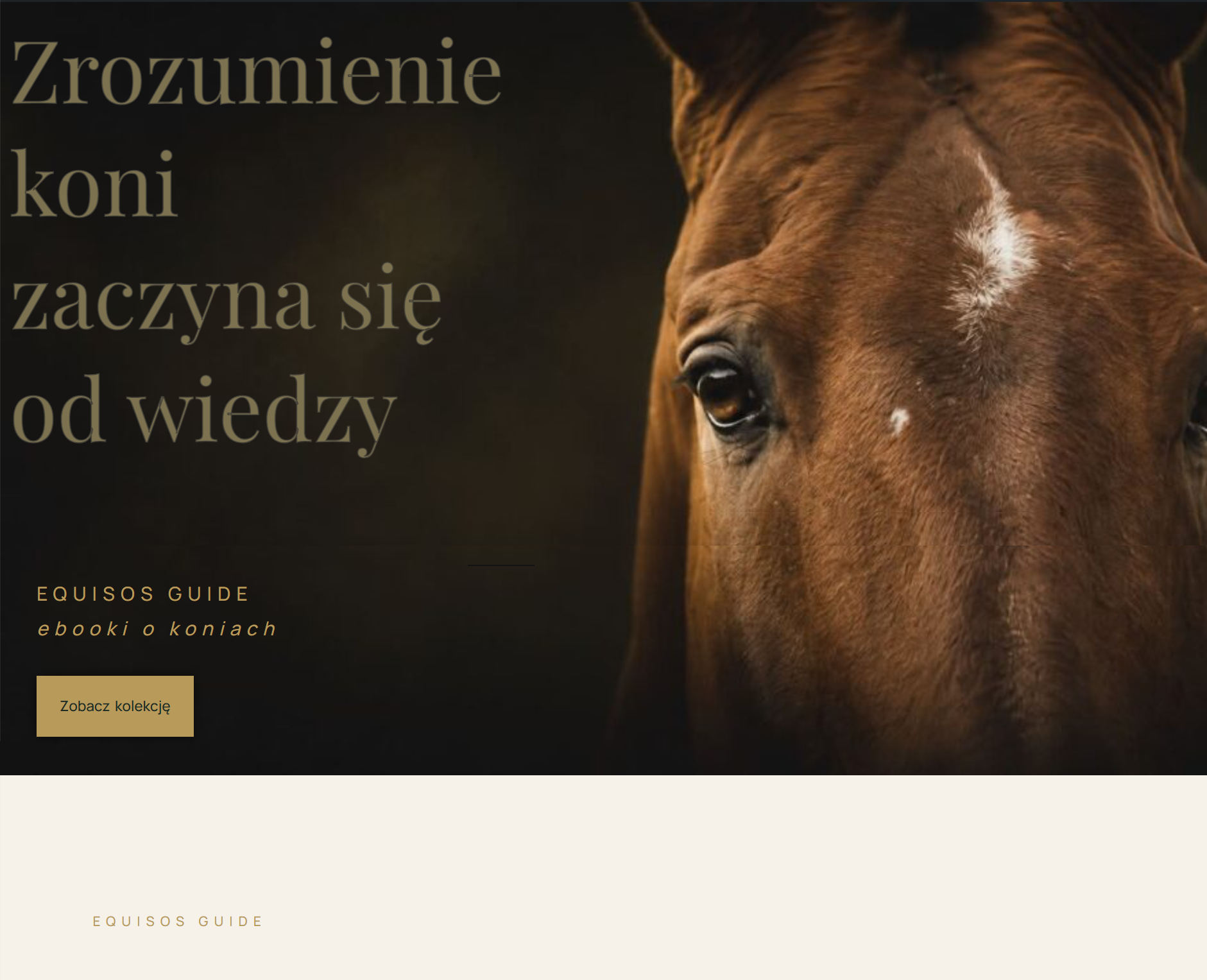 strona internetowa z ebookami jeździeckimi Equisos Guide